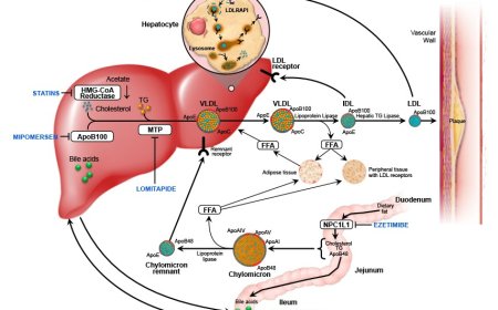 PCSK9 and Familial Hypercholesterolemia