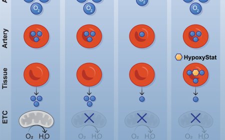 HypoxyStat, a small-molecule form of hypoxia therapy that increases oxygen-hemoglobin affinity