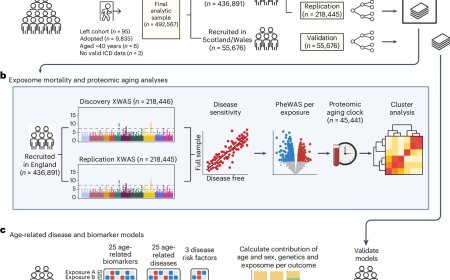 Lifestyle and environmental factors affect health and ageing more than our genes
