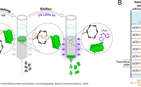 Protein purification with light