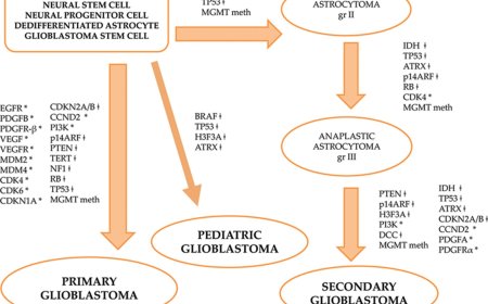 Genetics of Glioblastoma