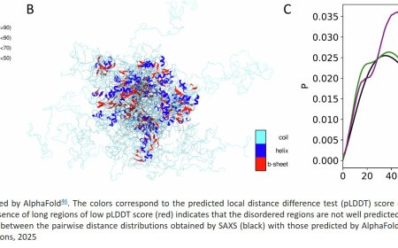 AlphaFold prediction on disordered proteins