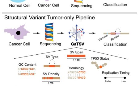 Tool for classifying tumor structural variants
