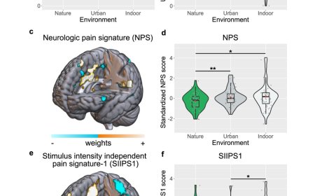Nature exposure induces analgesic effects by acting on nociception-related neural processing