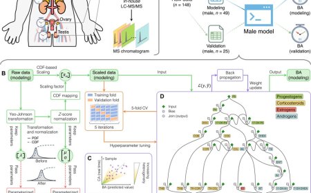 AI reveals true biological age from 5 drops of blood