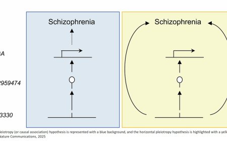 Association between placental DNA methylation and schizophrenia