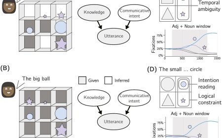 Tracking minds in communication