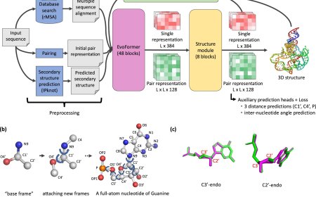 Tool for RNA tertiary structure prediction