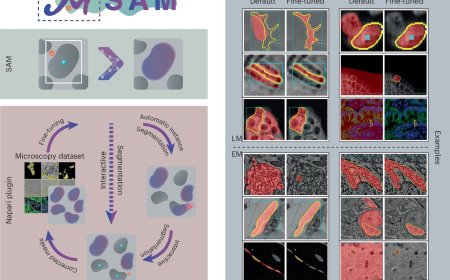Automatic cell analysis using AI