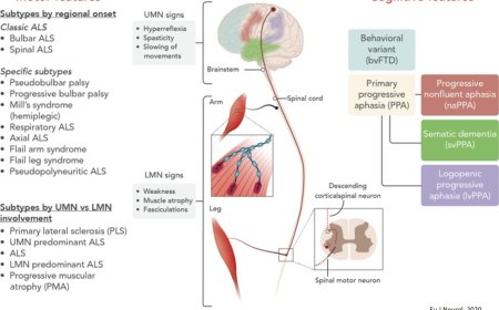 The Association between C9orf72 Repeats and Risk of Alzheimer’s Disease and Amyotrophic Lateral Sclerosis: A Meta-Analysis