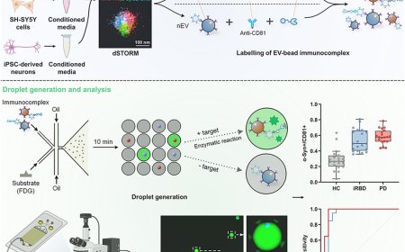Biomarker for Parkinson’s disease using single extracellular vesicle detection assay