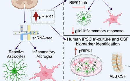 A role for inflammatory RIPK1 signaling in ALS pathogenesis