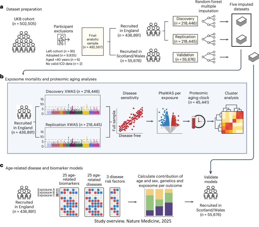 Integrating the environmental and genetic architectures of aging and mortality