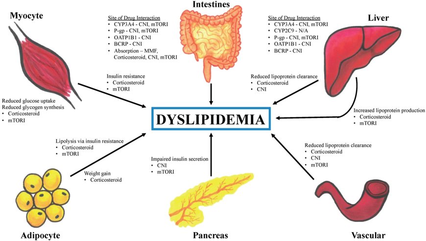 Dyslipidemia