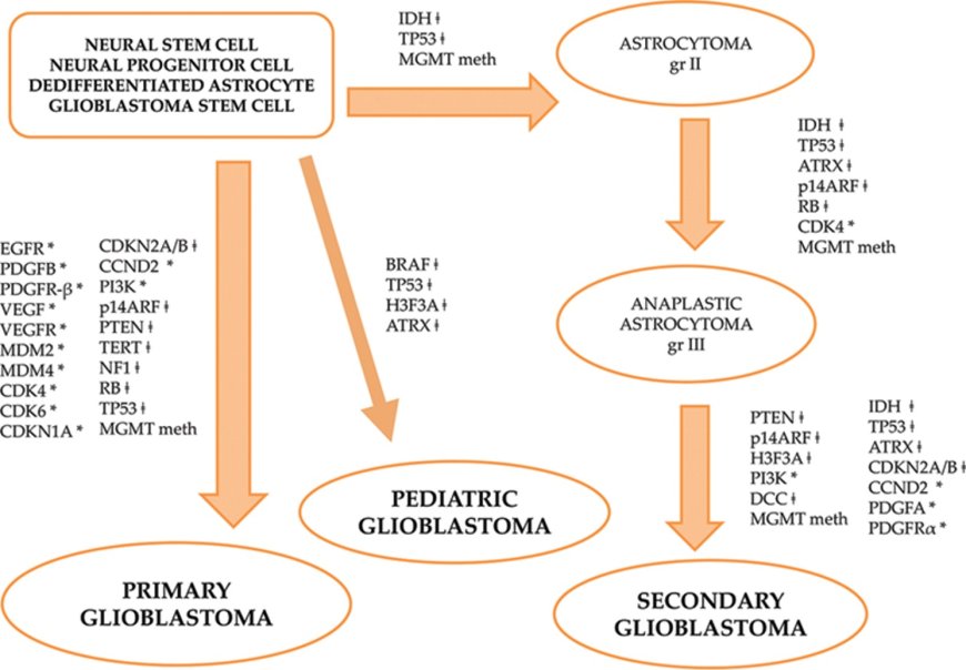 Genetics of Glioblastoma