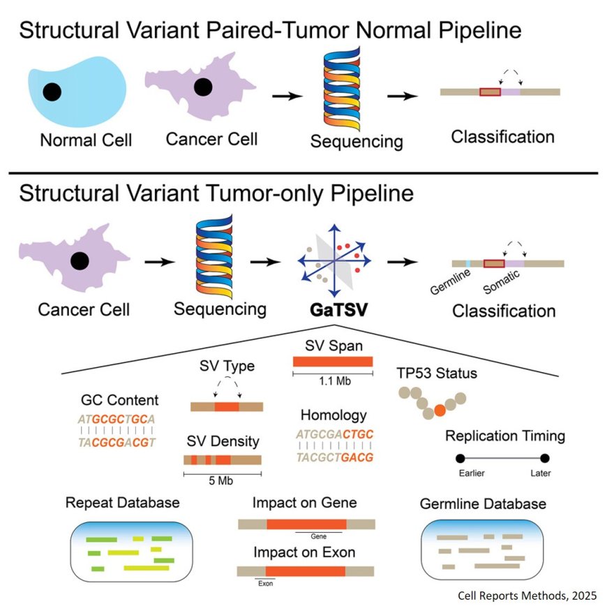 Tool for classifying tumor structural variants