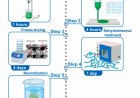 Printed skin to replace animal testing
