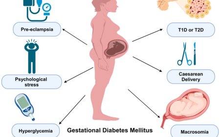 Gestational diabetes etiology and molecular mechanisms