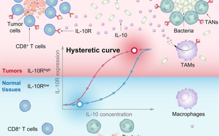 Designer bacteria for cancer therapy
