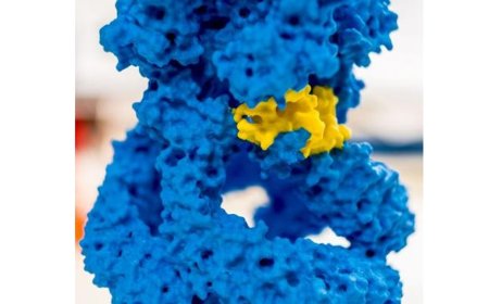 Hearing triggered by molecular “spring”