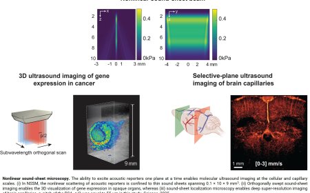 Nonlinear sound-sheet microscopy