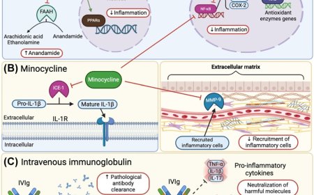 Emerging autism and Fragile X syndrome treatments