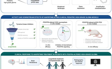 Targeting PDGFRA in high-grade glioma