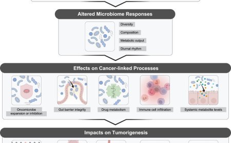 Diet-microbiome interactions in cancer