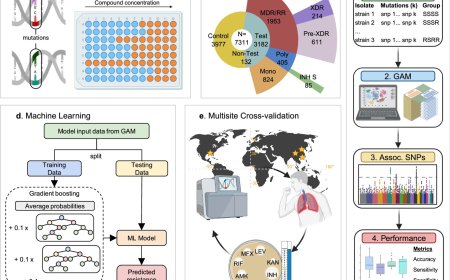 AI to improve diagnosis of drug-resistant infections