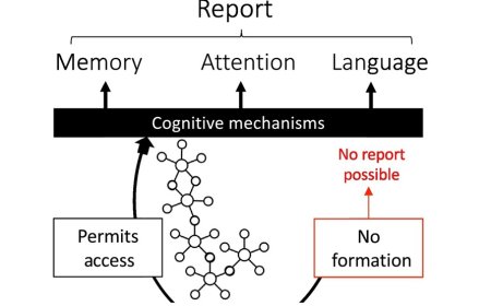 Where is my mind? A neurocognitive investigation of mind blanking