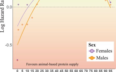 Plant-based protein is linked to a longer life