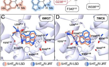 LSD analogue with potential for treating schizophrenia