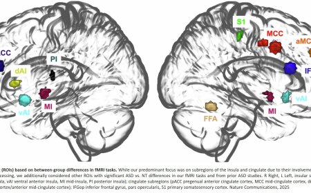 A gut-brain link that may affect behavior in children with autism