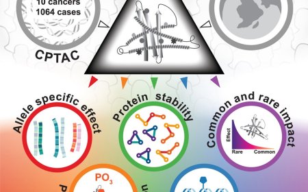 Precision proteogenomics reveals pan-cancer impact of germline variants