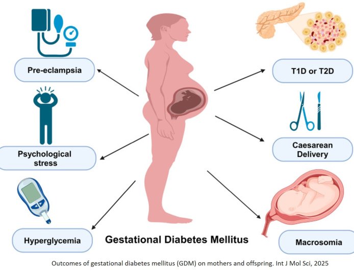 Gestational diabetes etiology and molecular mechanisms