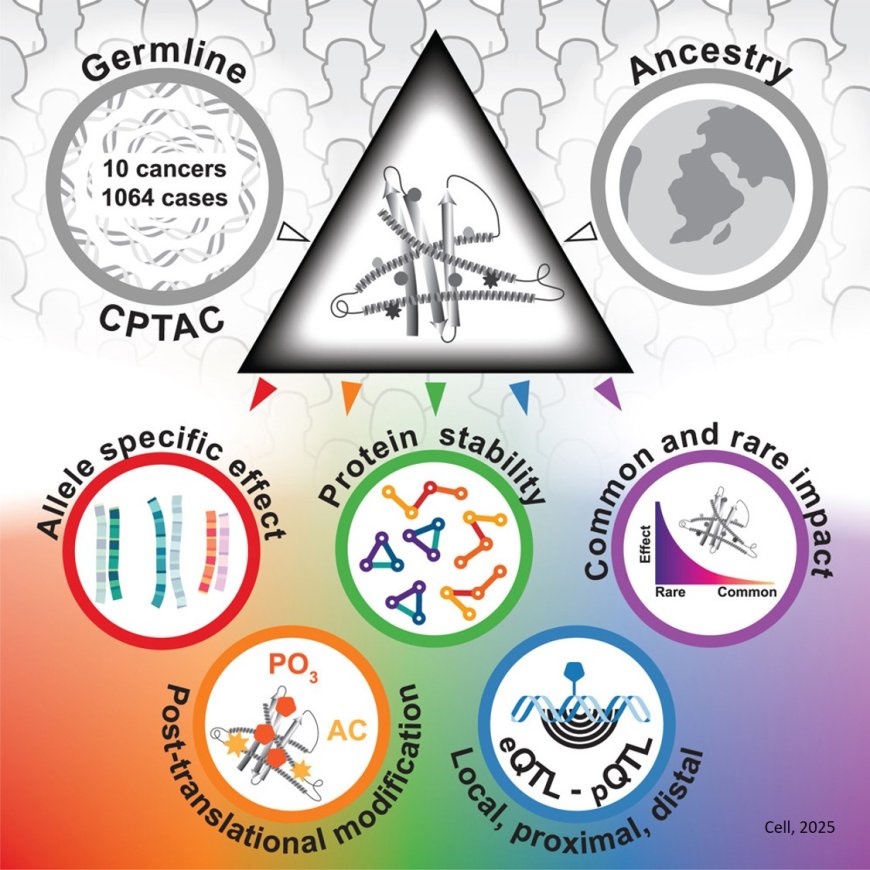 Linking germline variants to cancer progression