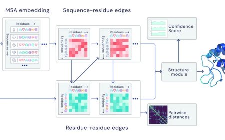 AlphaFold: for Protein Structure Prediction
