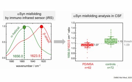 Alpha-synuclein misfolding as fluid biomarker for Parkinson’s disease measured with the iRS platform