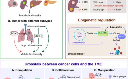 Amino acids in cancer!