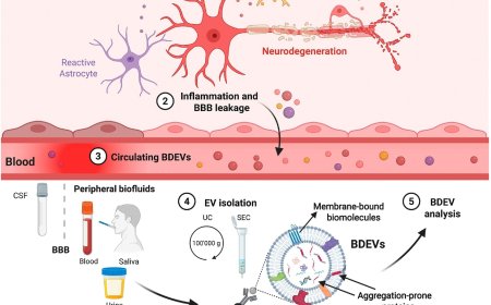 Monitoring neurodegeneration through brain-derived extracellular vesicles in biofluids