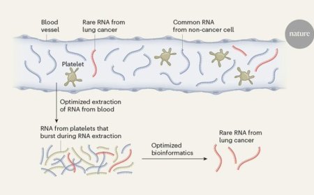RNA blood test to detect cancers