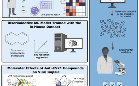 AI uncovers antiviral compounds using limited data!