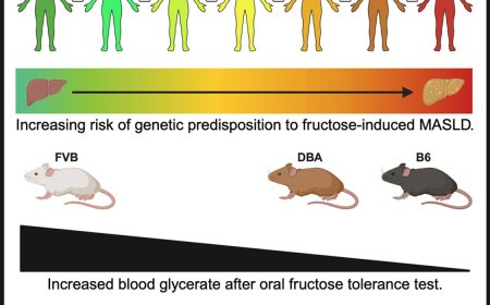 Predicting resilience to fructose induced hepatic steatosis
