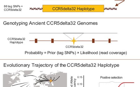 Mapping centuries old genetic mutation that protects against HIV