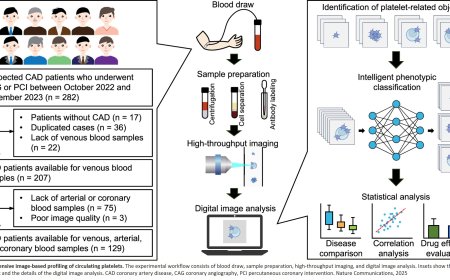 AI & imaging technique to evaluate blood clots in heart disease