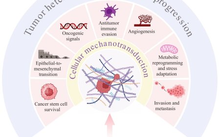 Tissue mechanics in tumor heterogeneity and aggression