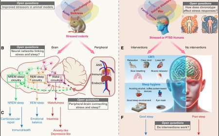 Sleep and the recovery from stress