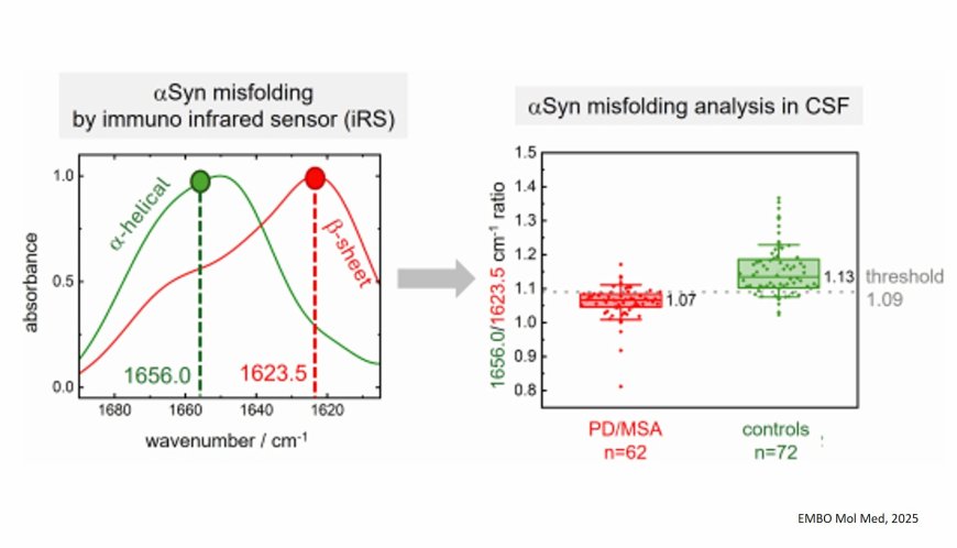Misfolded alpha-synuclein protein as diagnostic biomarker for PD