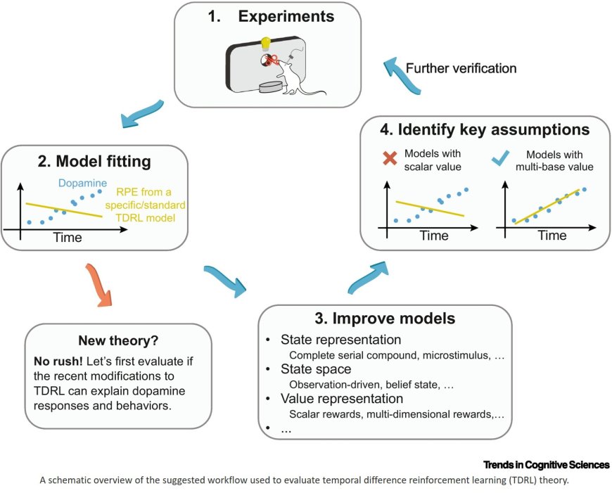 The devilish details affecting TDRL models in dopamine research