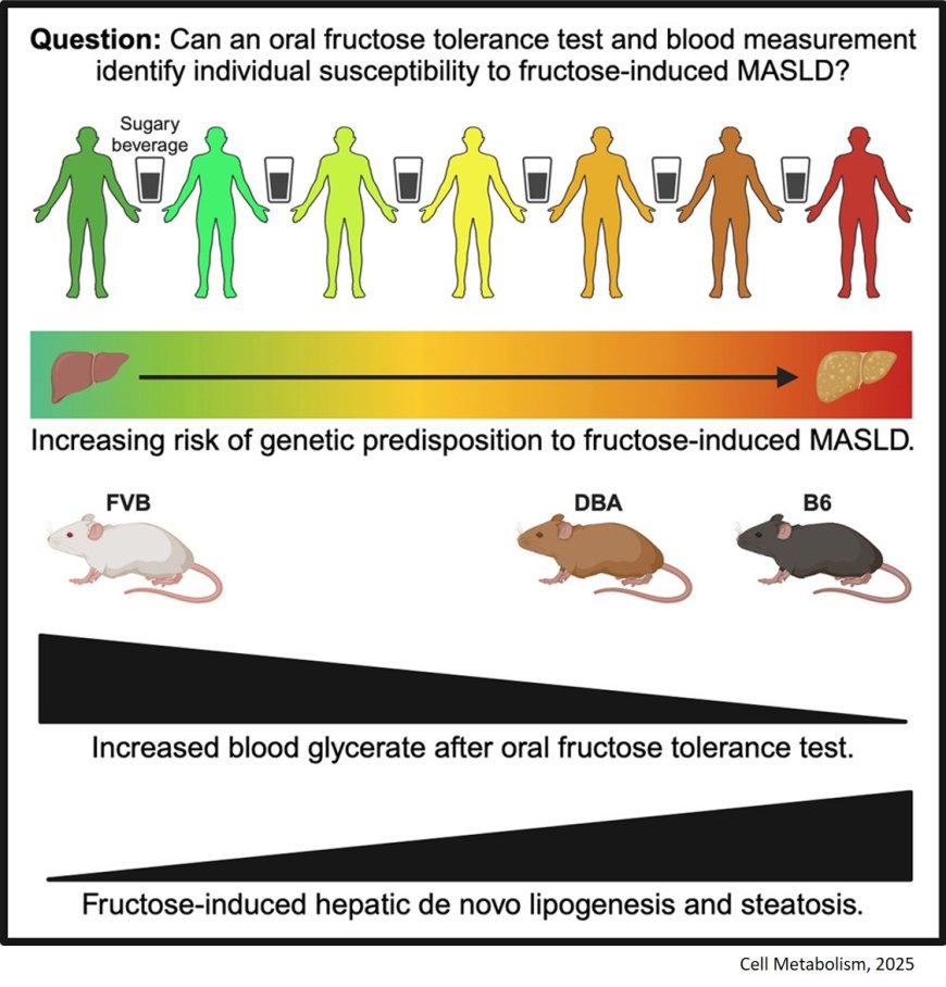 Predicting resilience to fructose induced hepatic steatosis